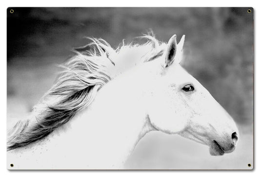 Mane In The Wind