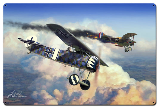 Fokker DVIII Main