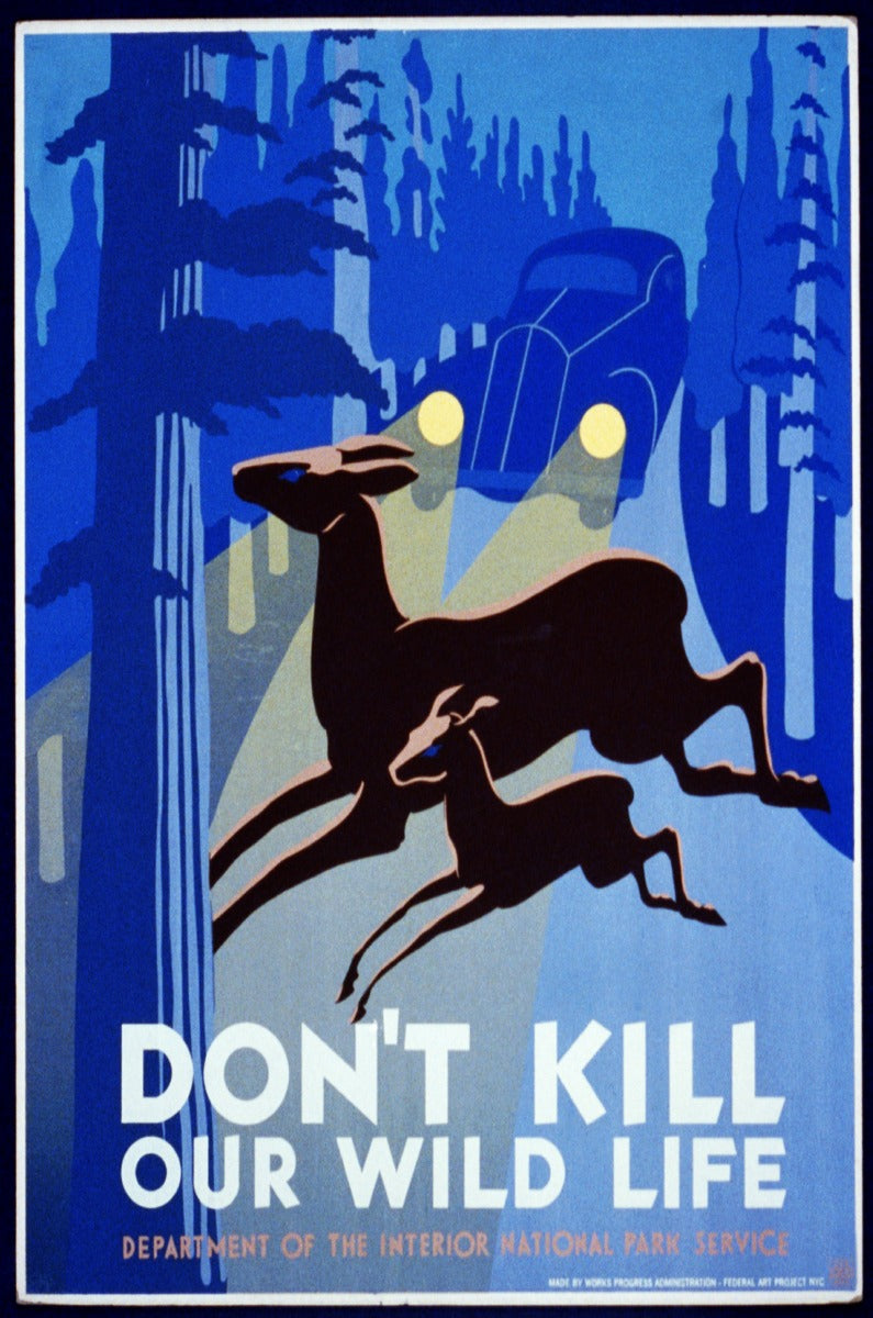 Don't Kill Our Our Wildlife Vintage Sign