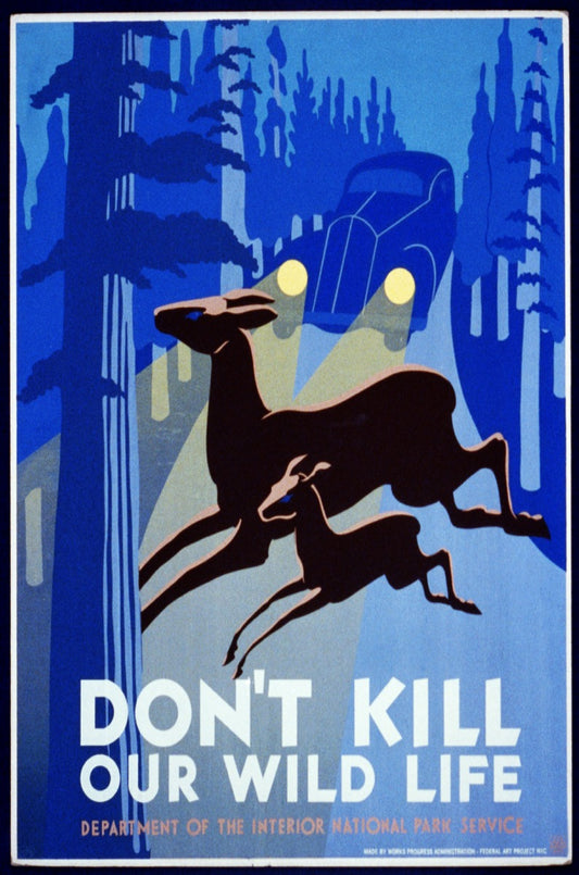 Don't Kill Our Our Wildlife Vintage Sign