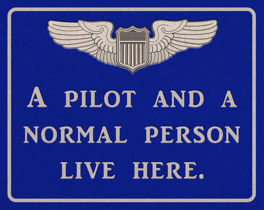 Pilot And Normal Person Vintage Sign