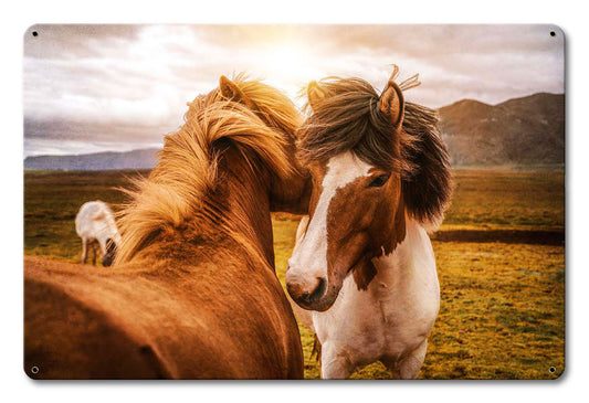 Wild Horses 1