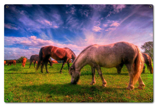 Wild Horse 2