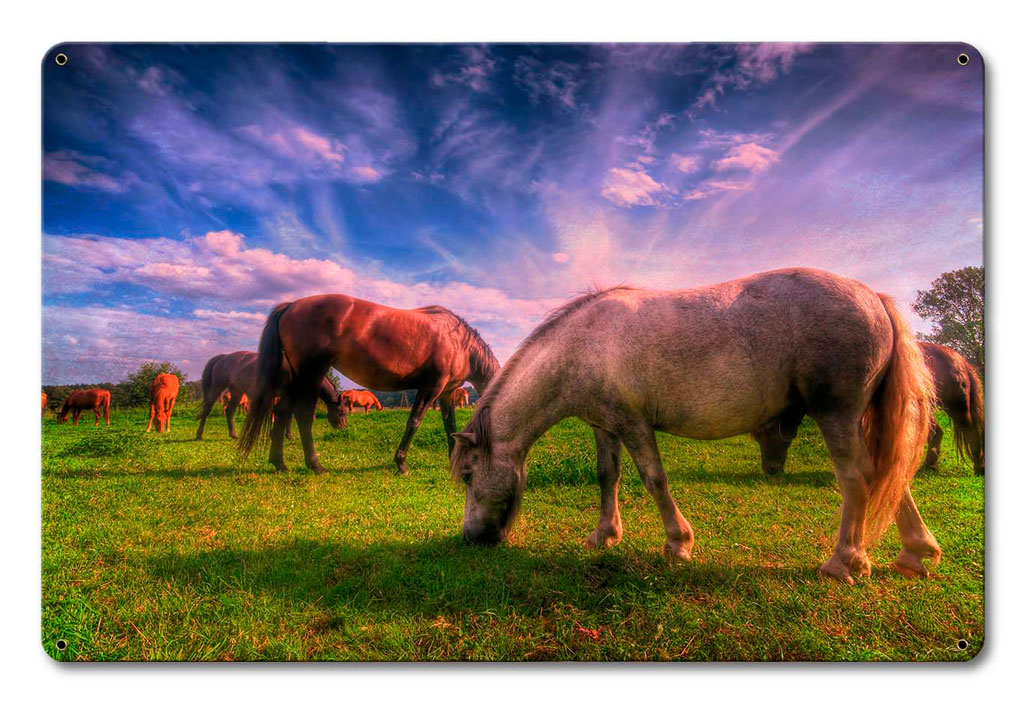 Wild Horse 2