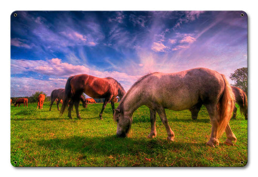 Wild Horse 2