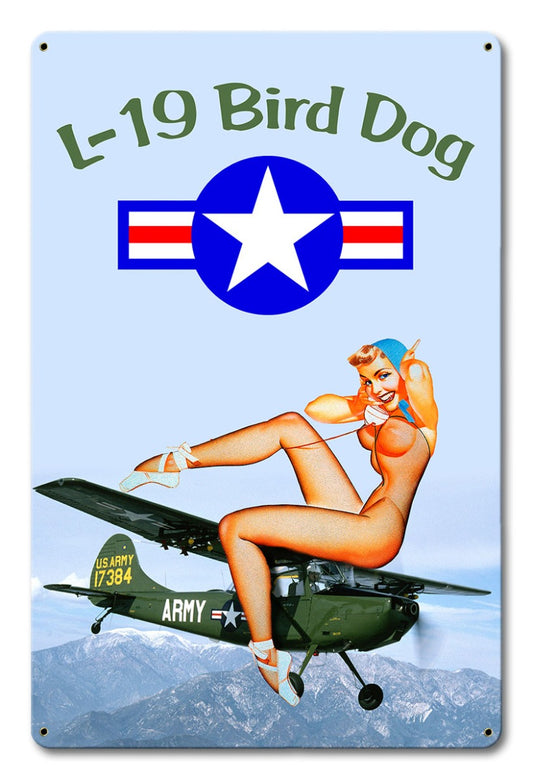 L-19 Bird Dog Pinup