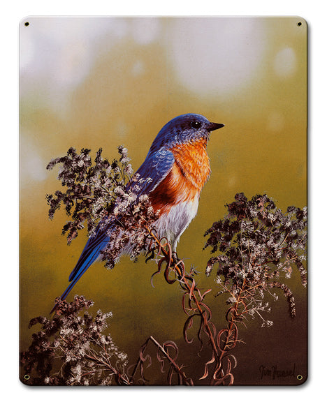 Eastern Bluebird, Featured Artists/Jim Hansel Art, Satin, 12 X 15 Inches