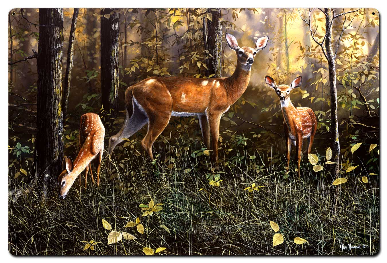 Emerald Forest, Featured Artists/Jim Hansel Art, Satin, 36 X 24 Inches