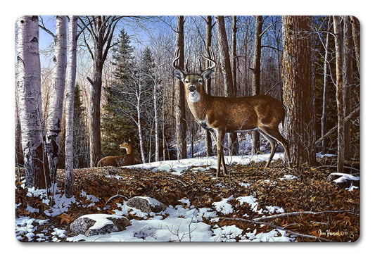 North Ridge Whitetails, Featured Artists/Jim Hansel Art, Satin, 12 X 18 Inches