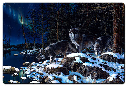 Night Lights, Featured Artists/Jim Hansel Art, Satin, 24 X 36 Inches