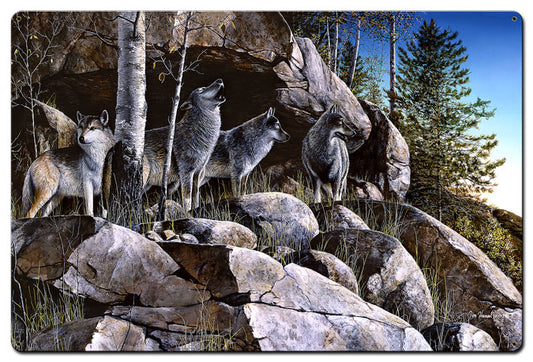 Rocky Outpost, Featured Artists/Jim Hansel Art, Satin, 24 X 36 Inches