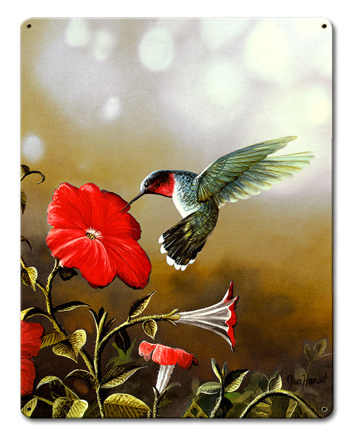 Ruby Throated Hummingbird Gold, Featured Artists/Jim Hansel Art, Satin, 12 X 15 Inches