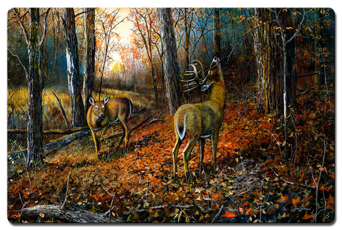 Signs Of Autumn, Featured Artists/Jim Hansel Art, Satin, 16 X 24 Inches