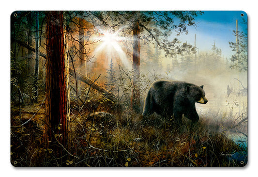 Shadow In The Mist, Featured Artists/Jim Hansel Art, Satin, 12 X 18 Inches