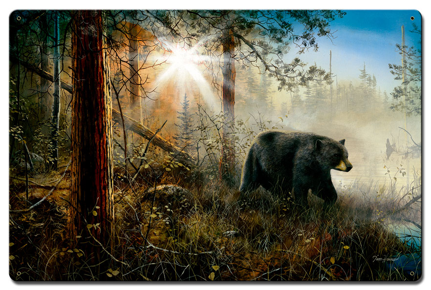 Shadow In The Mist, Featured Artists/Jim Hansel Art, Satin, 16 X 24 Inches