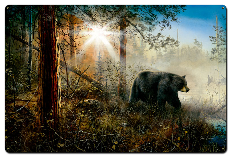 Shadow In The Mist, Featured Artists/Jim Hansel Art, Satin, 24 X 36 Inches