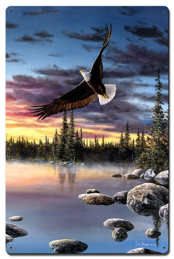 【Forestman works】Eagle touch the sky Sky Dancer, Featured Artists/Jim Hansel Art, Satin, 16 X 24 Inches