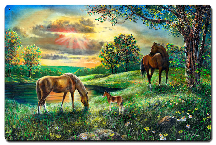 Spirit, Featured Artists/Jim Hansel Art, Satin, 16 X 24 Inches