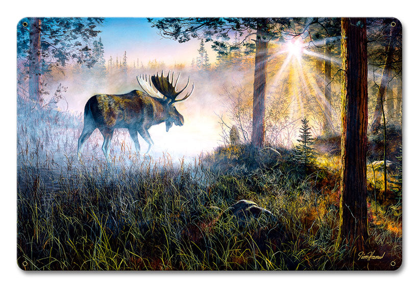 Walk In The Mist, Nature, Satin, 12 X 18 Inches