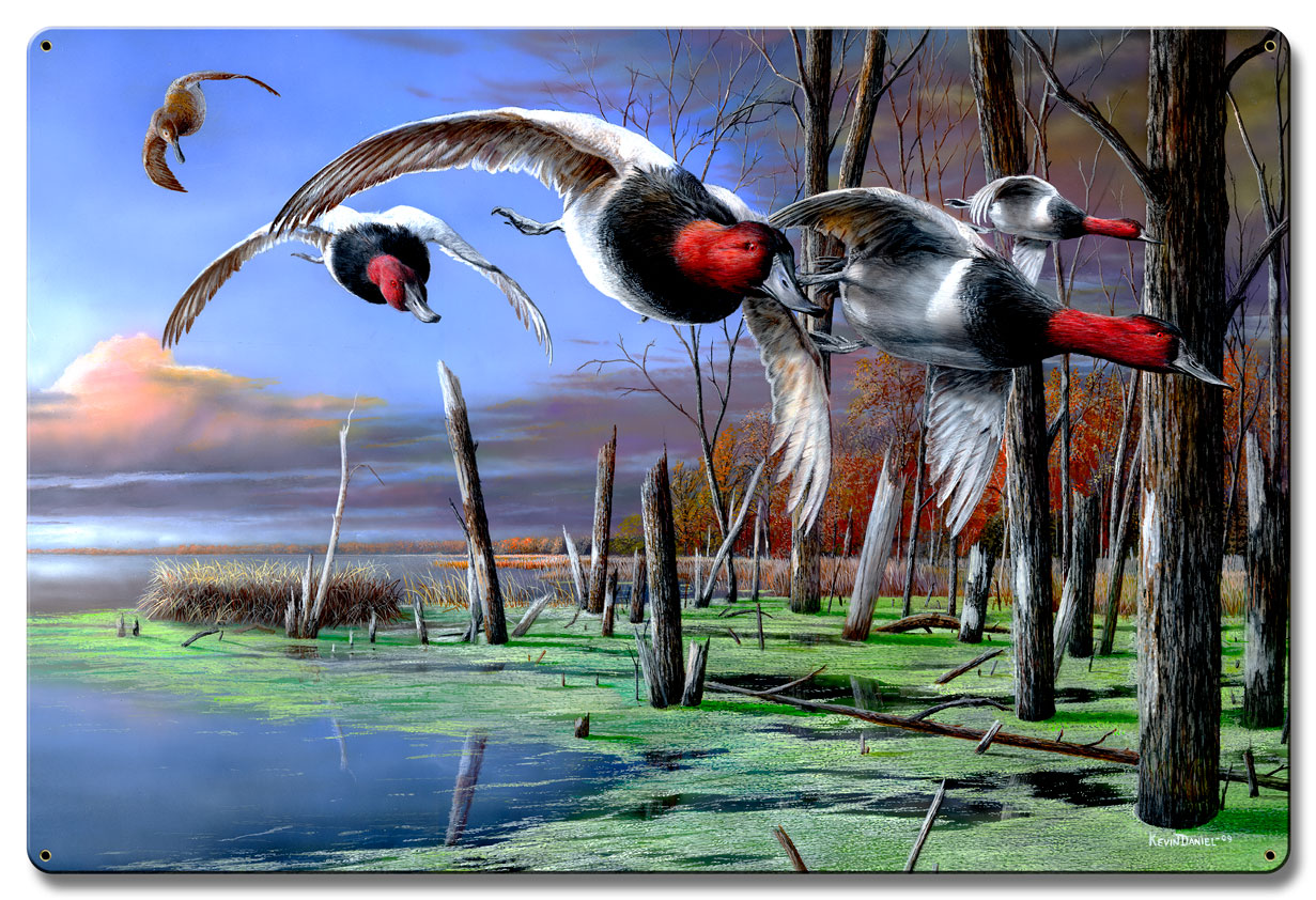 Backwater Ducks Cans, Featured Artists/Kevin Daniel Art, Satin, 24 X 36 Inches