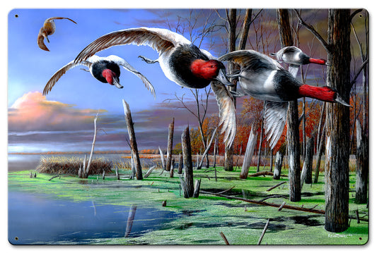 Ducks Cans, Featured Artists/Kevin Daniel Art, Satin, 16 X 24 Inches