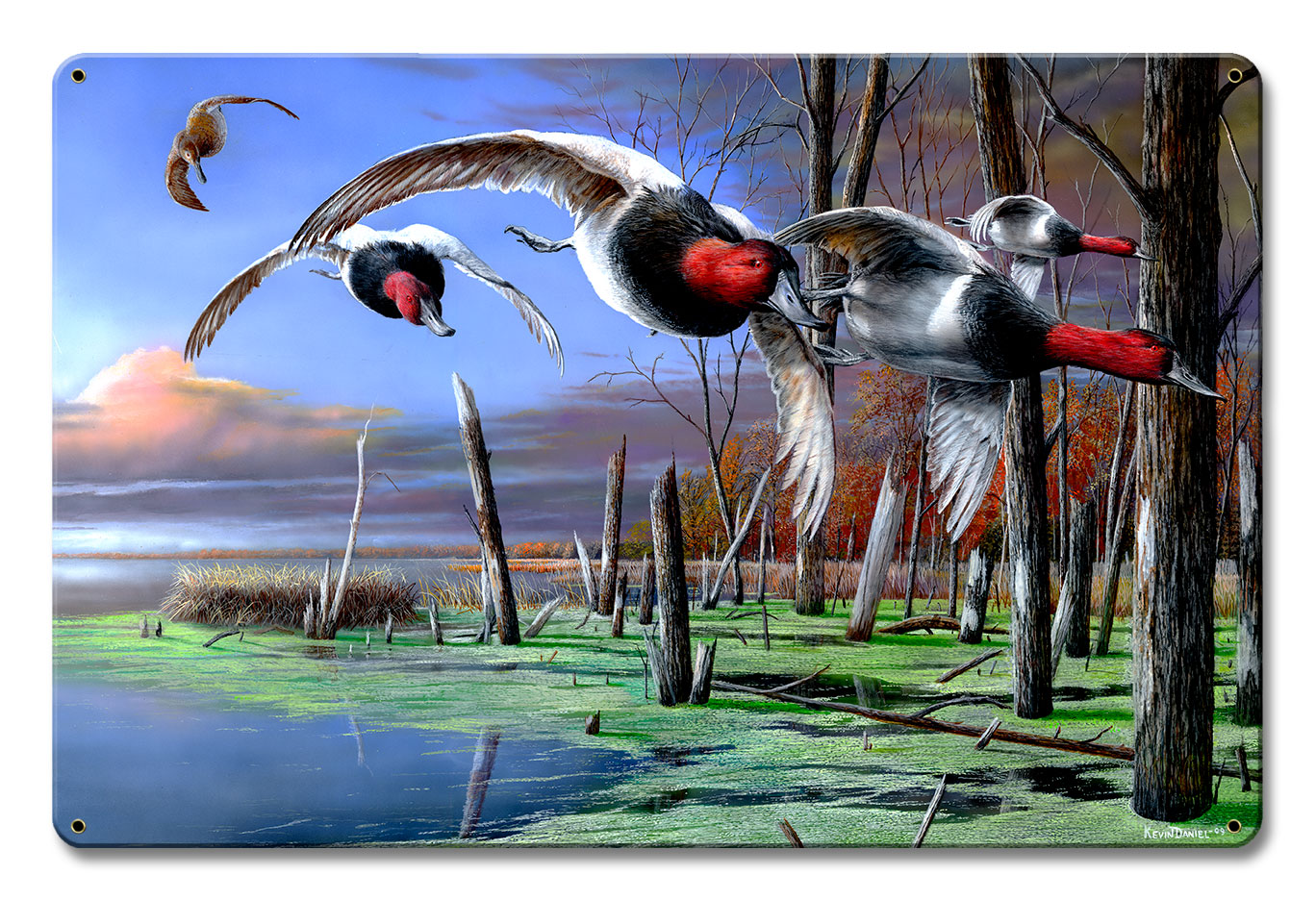 Backwater Ducks Cans, Featured Artists/Kevin Daniel Art, Satin, 12 X 18 Inches