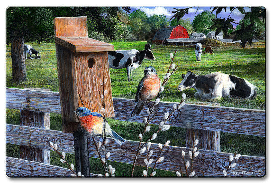 Bluebirds, Featured Artists/Kevin Daniel Art, Satin, 16 X 24 Inches