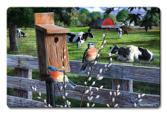 Bluebirds, Featured Artists/Kevin Daniel Art, Satin, 12 X 18 Inches