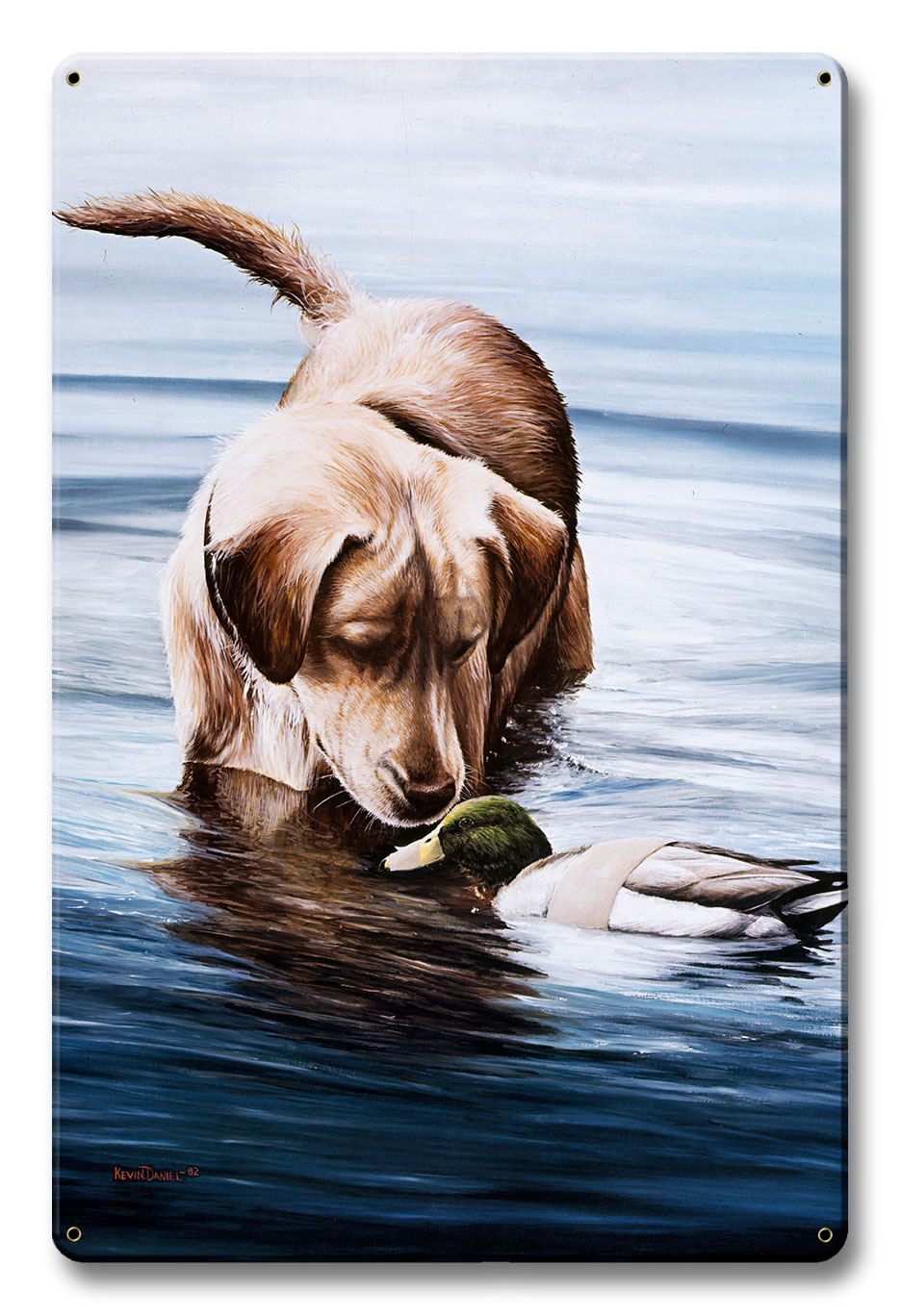 Bewildered, Featured Artists/Kevin Daniel Art, Satin, 12 X 18 Inches