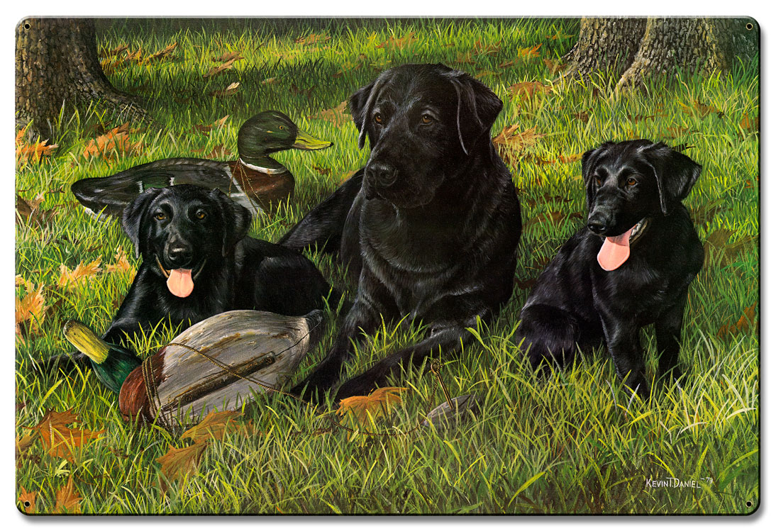 Getting Familiar, Featured Artists/Kevin Daniel Art, Satin, 24 X 36 Inches