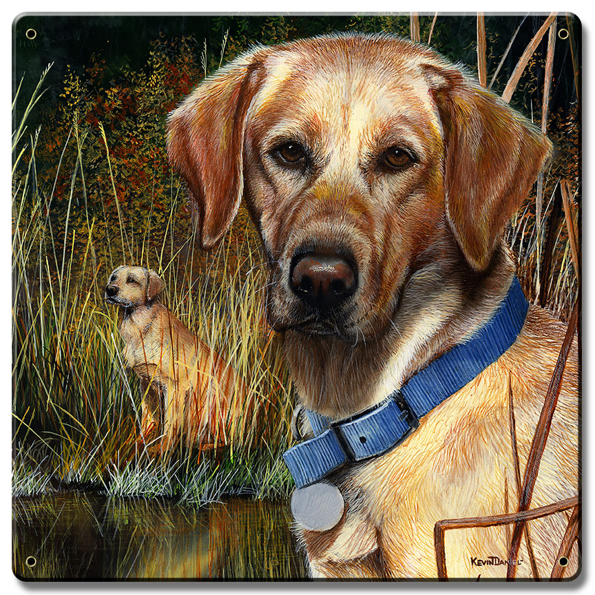 Yellow Lab Satin, Featured Artists/Kevin Daniel Art, Satin, 12 X 12 Inches