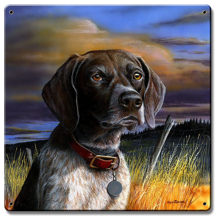 German Shorthair, Featured Artists/Kevin Daniel Art, Satin, 12 X 12 Inches