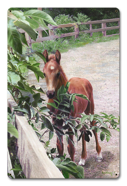 Kentucky Pride Horse, Featured Artists/Kevin Daniel Art, Satin, 12 X 18 Inches