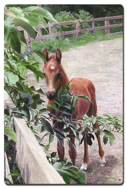 Kentucky Pride, Featured Artists/Kevin Daniel Art, Satin, 16 X 24 Inches