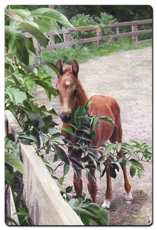 Kentucky Pride Horse, Featured Artists/Kevin Daniel Art, Satin, 24 X 36 Inches