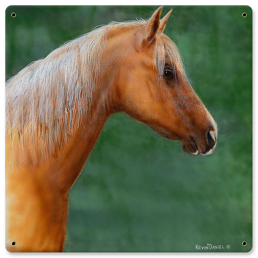 Palimino Horse, Featured Artists/Kevin Daniel Art, Satin, 12 X 12 Inches