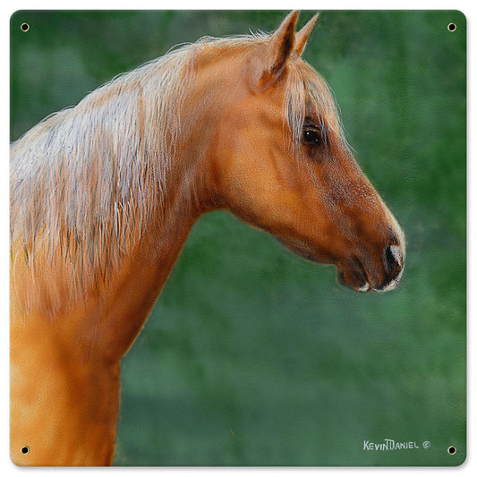 Palimino Horse, Featured Artists/Kevin Daniel Art, Satin, 18 X 18 Inches