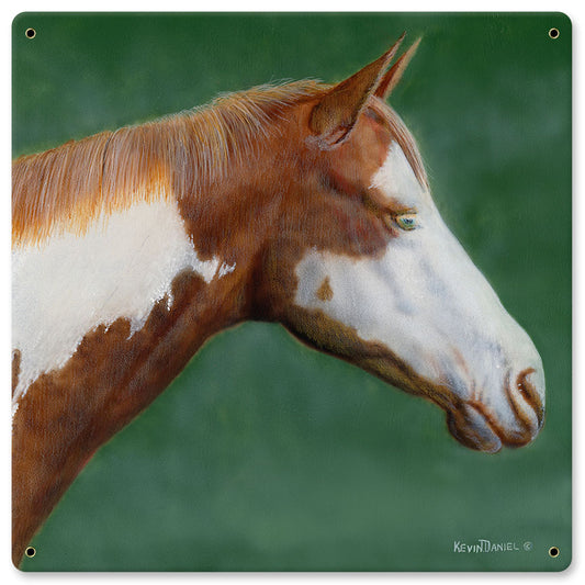 Pinto Horse, Featured Artists/Kevin Daniel Art, Satin, 12 X 12 Inches