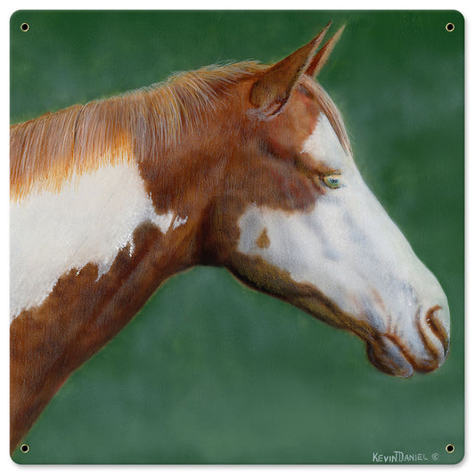Pinto Horse, Featured Artists/Kevin Daniel Art, Satin, 18 X 18 Inches