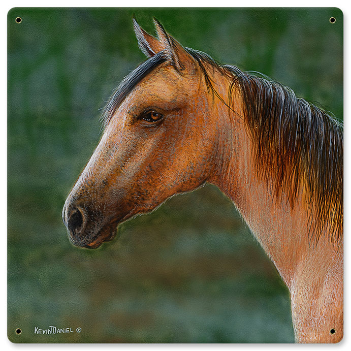 Mustang Horse, Featured Artists/Kevin Daniel Art, Satin, 12 X 12 Inches