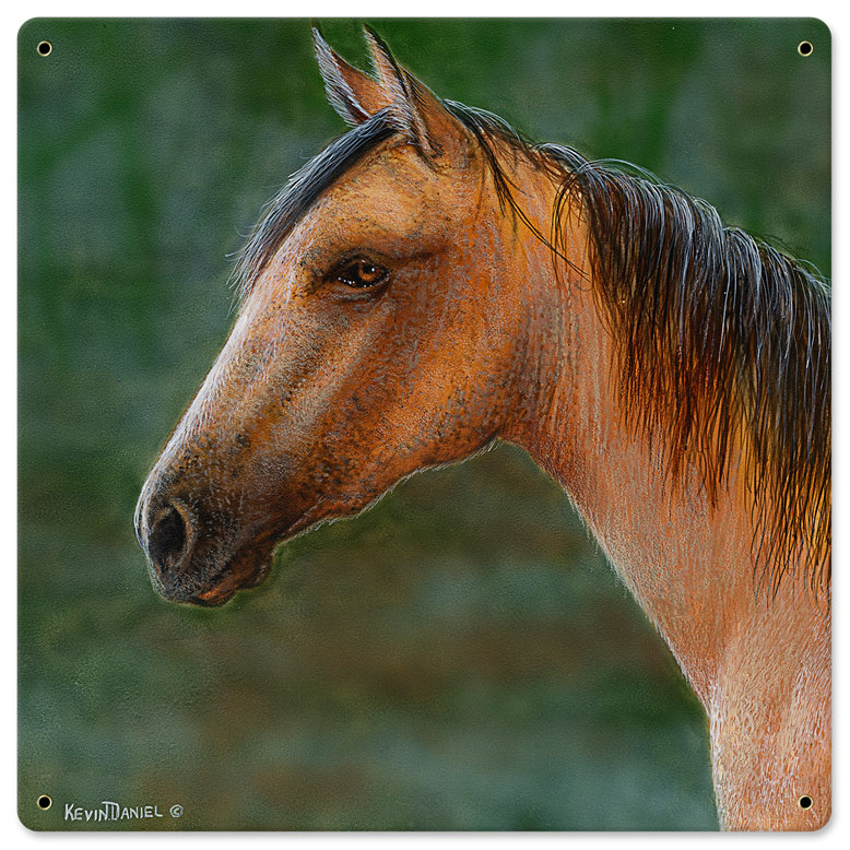 Mustang Horse, Featured Artists/Kevin Daniel Art, Satin, 18 X 18 Inches