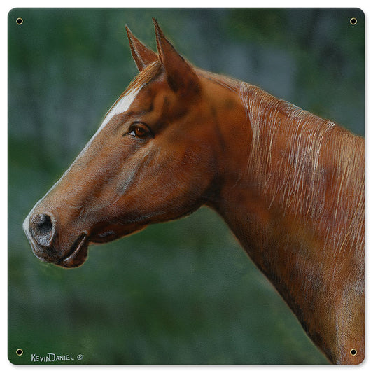 Quarter Horse, Featured Artists/Kevin Daniel Art, Satin, 18 X 18 Inches