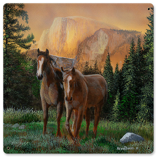 Horse Grass Sunset, Featured Artists/Kevin Daniel Art, Satin, 12 X 12 Inches