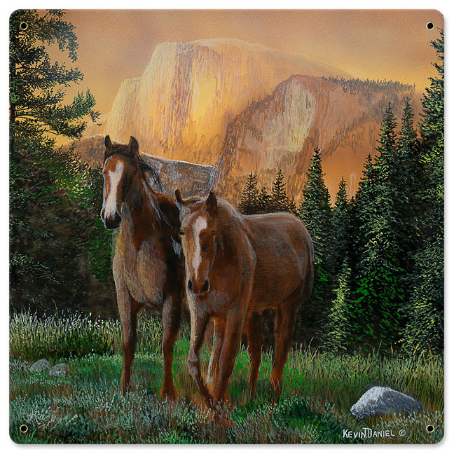 Horse Grass Sunset, Featured Artists/Kevin Daniel Art, Satin, 18 X 18 Inches