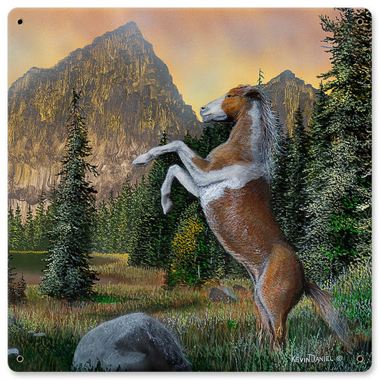 Horse Rearing Up, Featured Artists/Kevin Daniel Art, Satin, 12 X 12 Inches