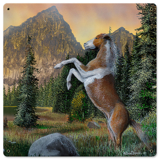 Horse Rearing Up, Featured Artists/Kevin Daniel Art, Satin, 18 X 18 Inches