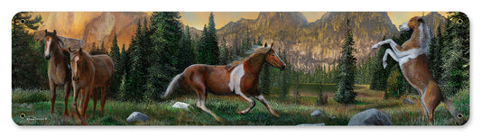 Horse Pack Stream, Featured Artists/Kevin Daniel Art, Satin, 20 X 5 Inches