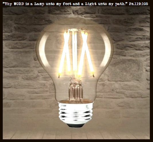 LED Edison Style 6 watt Light Bulb for Mason Jar Lighting - 60 watts Equivalent