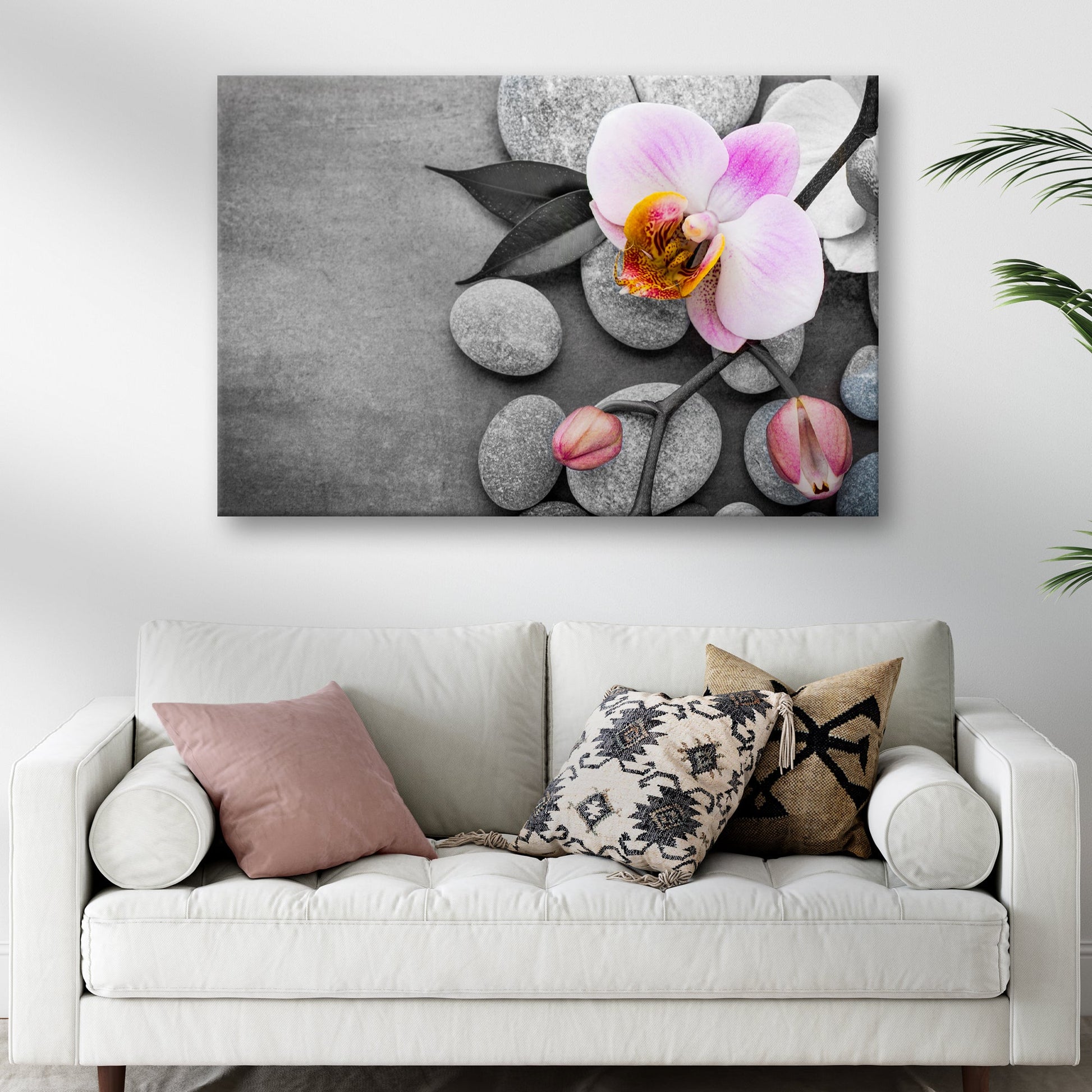 Fresh White Orchid Flower Canvas Wall Art