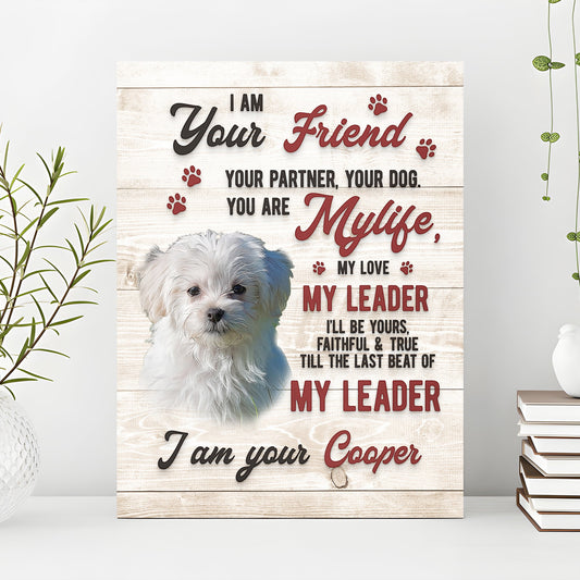 Pet Memorial Sign I Am Your Friend